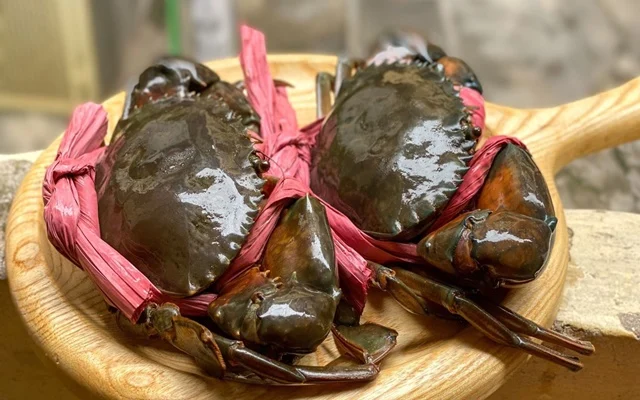 Cua Cà Mau Tươi Sống