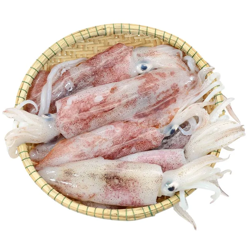 Mực Ống Miền Trung