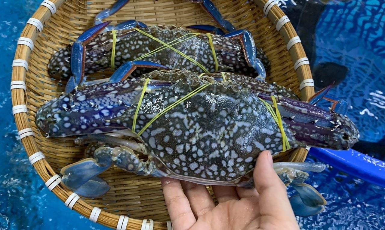 Ghẹ Xanh Phan Thiết